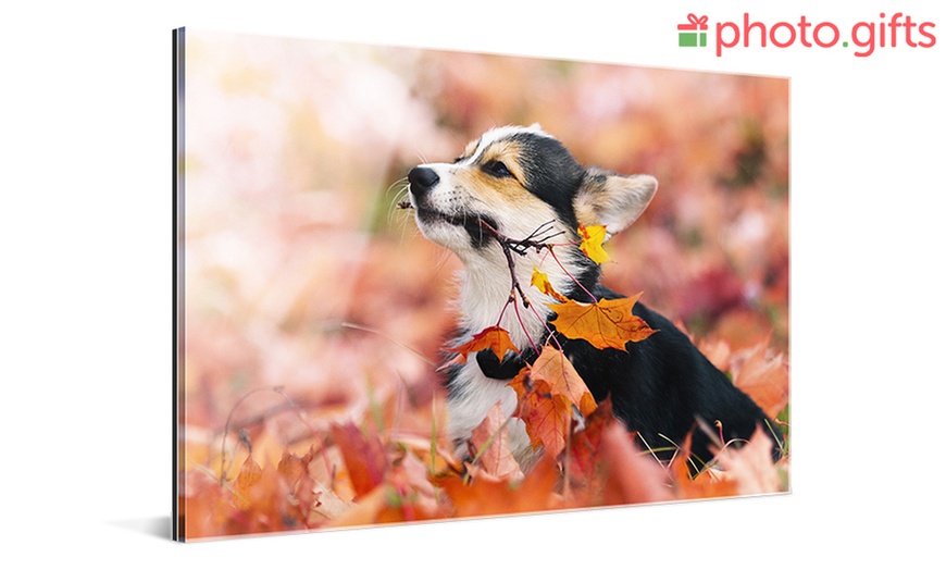 Image 2: Foto auf Acrylglas und Aluminium