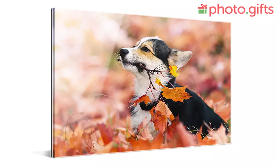 Foto auf Acrylglas und Aluminium