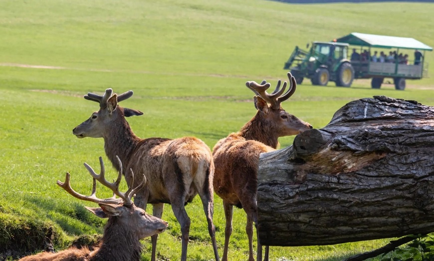 Image 8: This Halloween & Christmas Peak Time Farm and Soft Play Ticket 