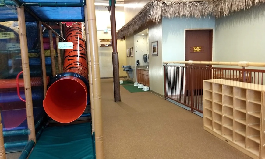 Image 8: Kids Animal Theme Jungle Gym Fun: Weekday Play Pass 