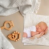 Image 6: JCPenney Portraits In-Studio Photography Sessions