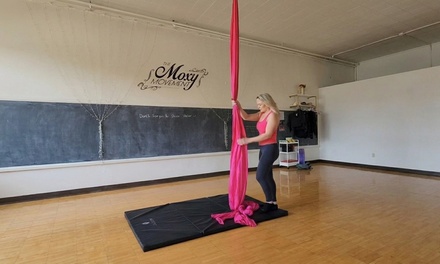 Four Class Pass for One Person (Includes Lyra, Silks, Hammocks and Pole Dancing) - The Moxy Movement, Draper, UT