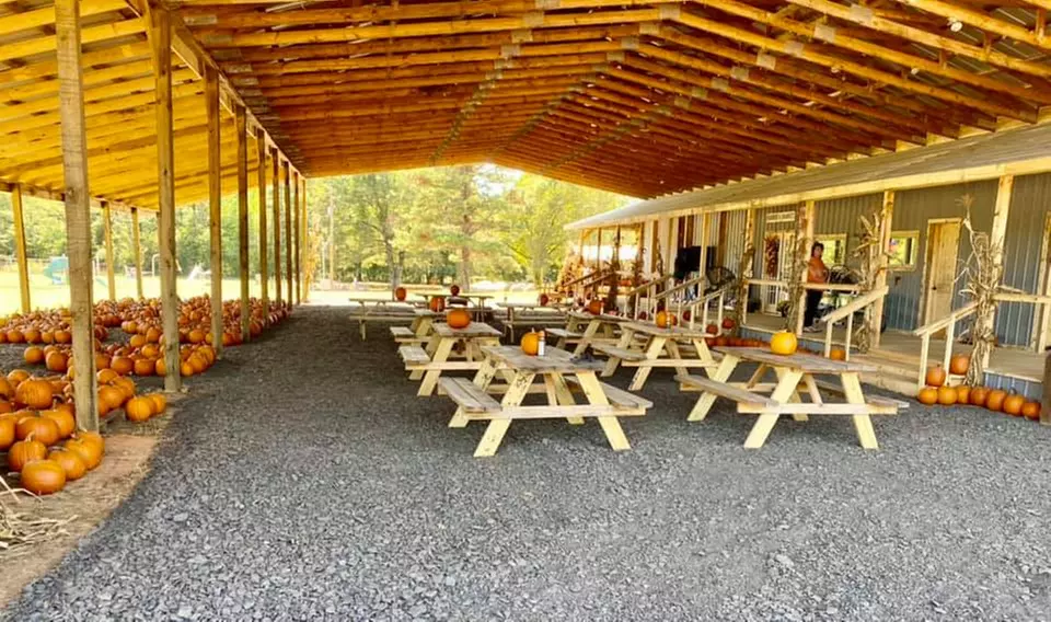 Admission For One, Two, or Four To Pumpkin Patch With Activities!