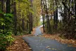 Private 1-hour Golf Cart Tour for 2, 3, 4, or 5 with Lake Views from Peachtree City Cart Tours (Up to 28% Off) - Second Medium