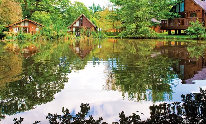 Image 4: Forest of Dean: Glamping Megapod for Four