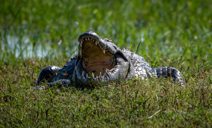 Image 33: 8-Day Yoga & Safari Retreat