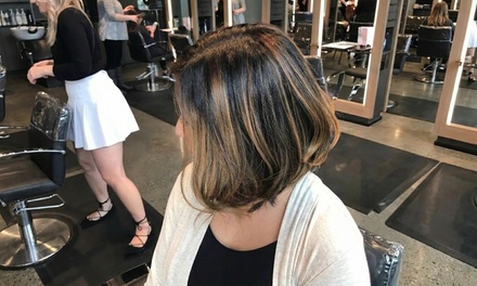One Men's Haircut - Studio Sheva
