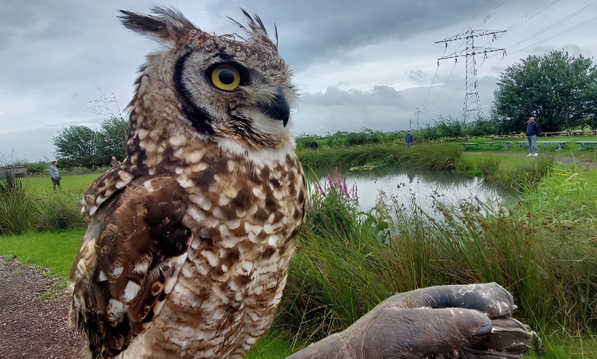 Image 9: Roofvogelworkshop