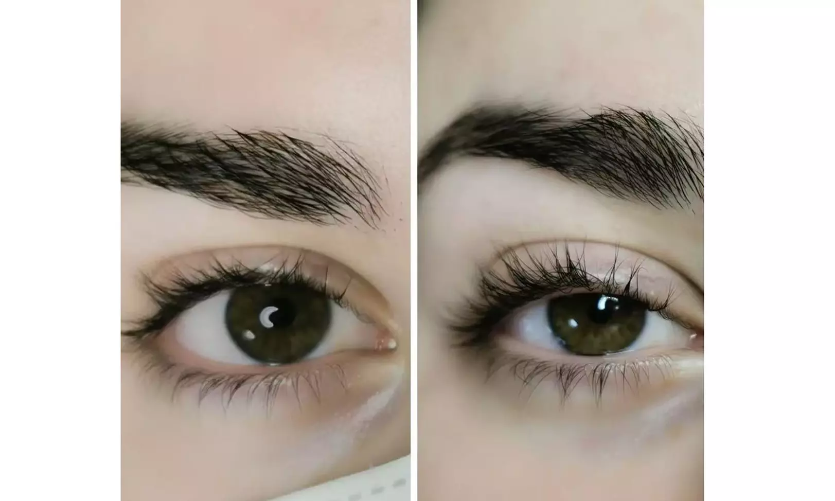 Wimpern- oder Augenbrauen-Treatment nach Wahl für 1 Person