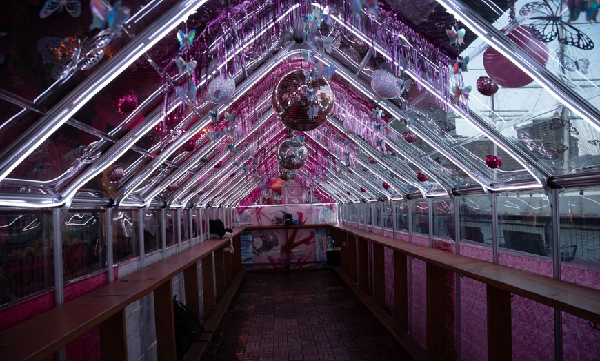 Image 3: VIP General Admission with Flex Pass Ticket to Pink Pier