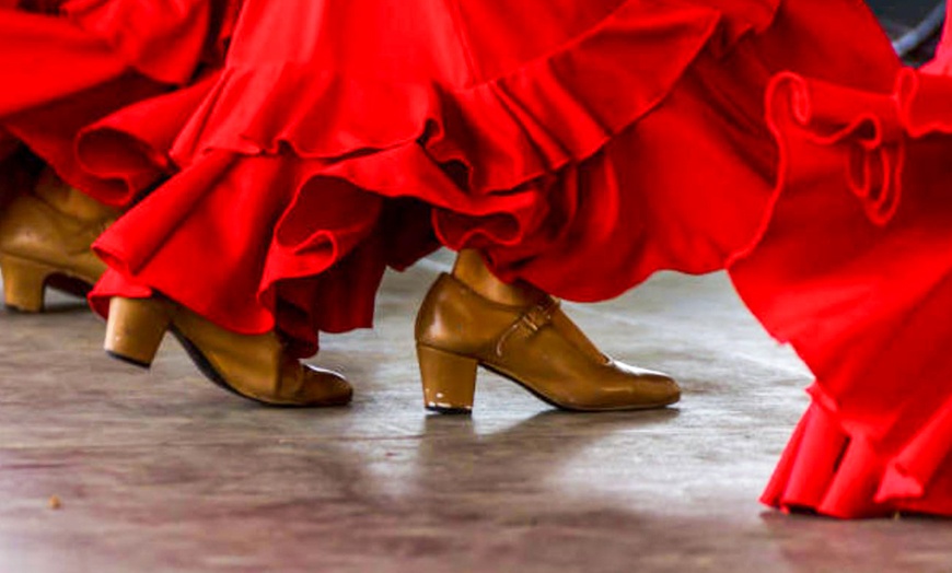 Image 7: Bono de 4, 8, 16 o 24 clases de baile a elegir para 1 persona