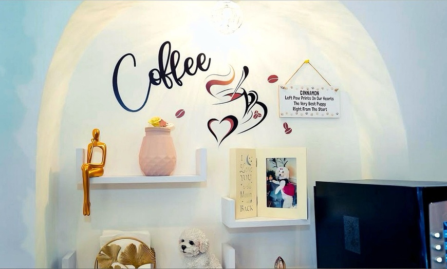 Image 8: Get Pampered w/Classic Mani / Pedi / Luxury Gel Spa Mani, Pedi or Both