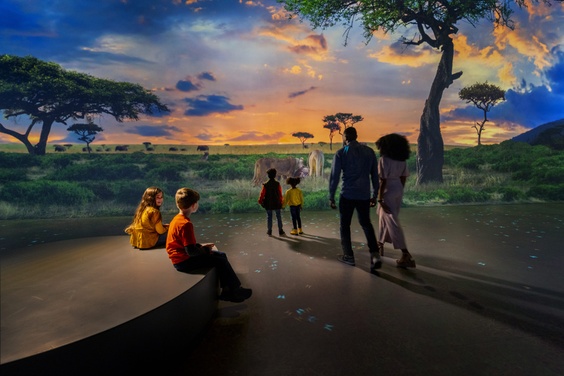 What to expect media