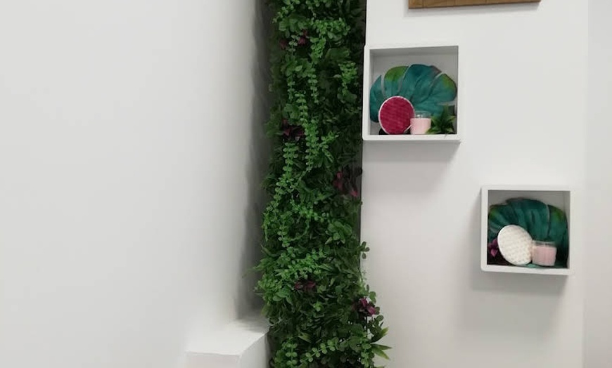 Image 3: 1 o 2 sesiones de microlifting facial de vitaminas con dermapen para 1 