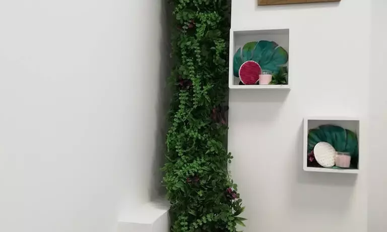 1 o 2 sesiones de microlifting facial de vitaminas con dermapen para 1