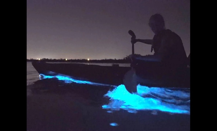Image 1: Guided Bioluminescent Kayaking Adventure on Orcas Island (Up to 30% Off)