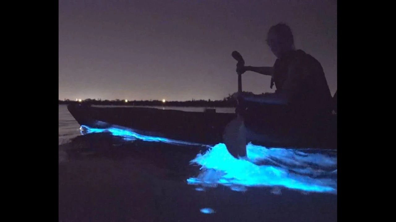 Bioluminescence Kayak Adventure for Solo, Duo, or Four Explorers 