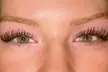 Up to 67% Off on Eyelash Extensions at FEMININE FREQUENCY LASHES and BROW BAR - Second Medium