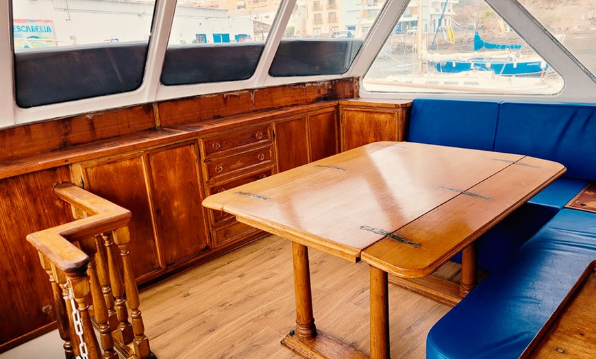 Image 6: Excursión de 4 horas en barco para avistar ballenas y delfines