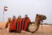 Desert Safari for Up to 4 People with Centralized Pick-Up & Optional 30-Min Quad Bike Ride (Up to 71% Off) - Image 6