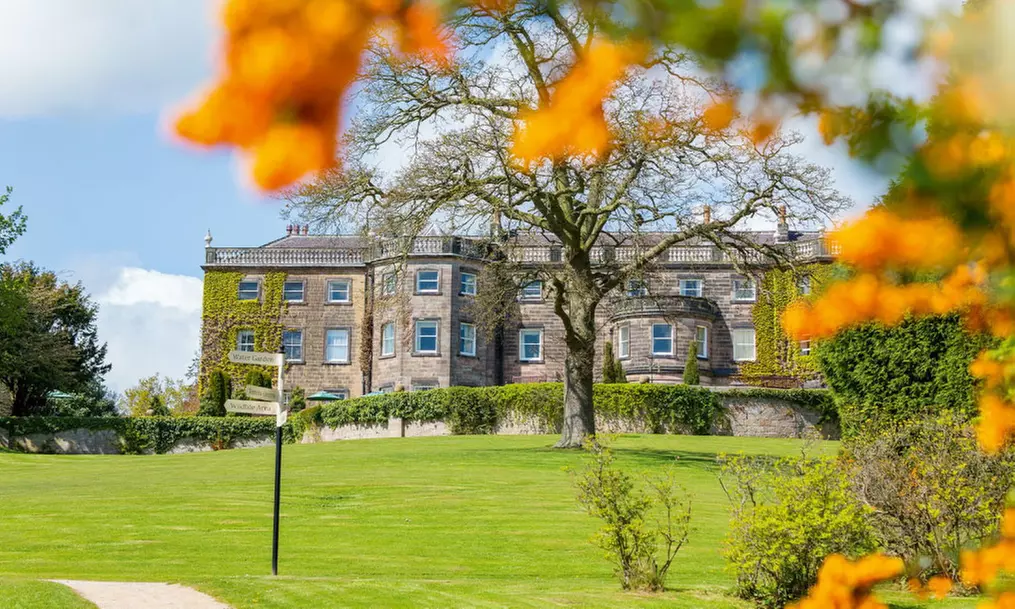 Up to 4 People: Sparkling - Afternoon Tea w/ Prosecco & Grounds Entry