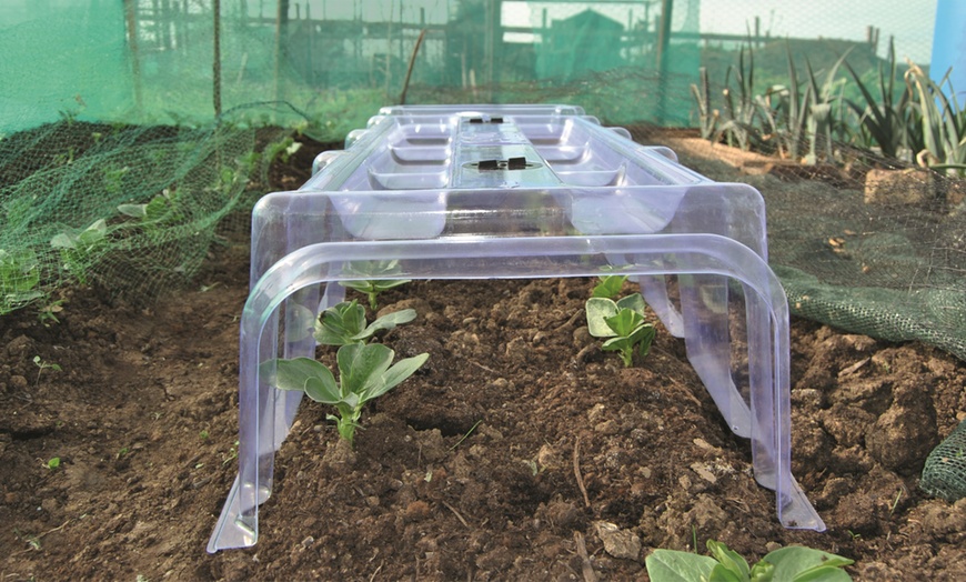 Image 3: One or Two Mini Greenhouse Cloches