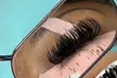 Classic, Hybrid & Volume Lash Extension Sets with 2-Week Fills (6 Options) at WINK'D BY TINA(Up To 55% Off) - Second Medium