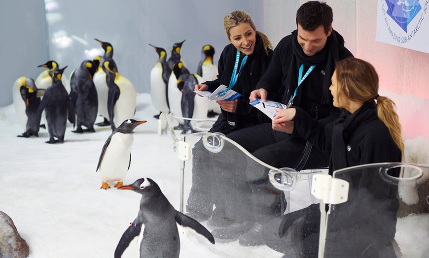 Image 7: Melbourne Big Ticket: Multi- Attraction Pass for Adults & Kids 