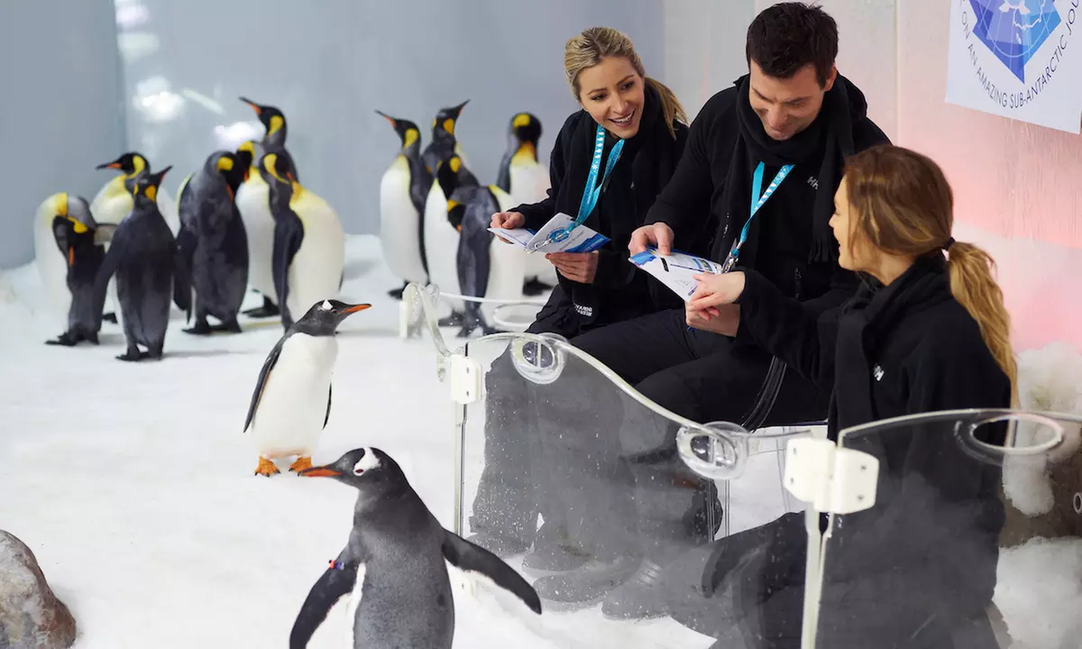 Melbourne Big Ticket: Multi- Attraction Pass for Adults & Kids