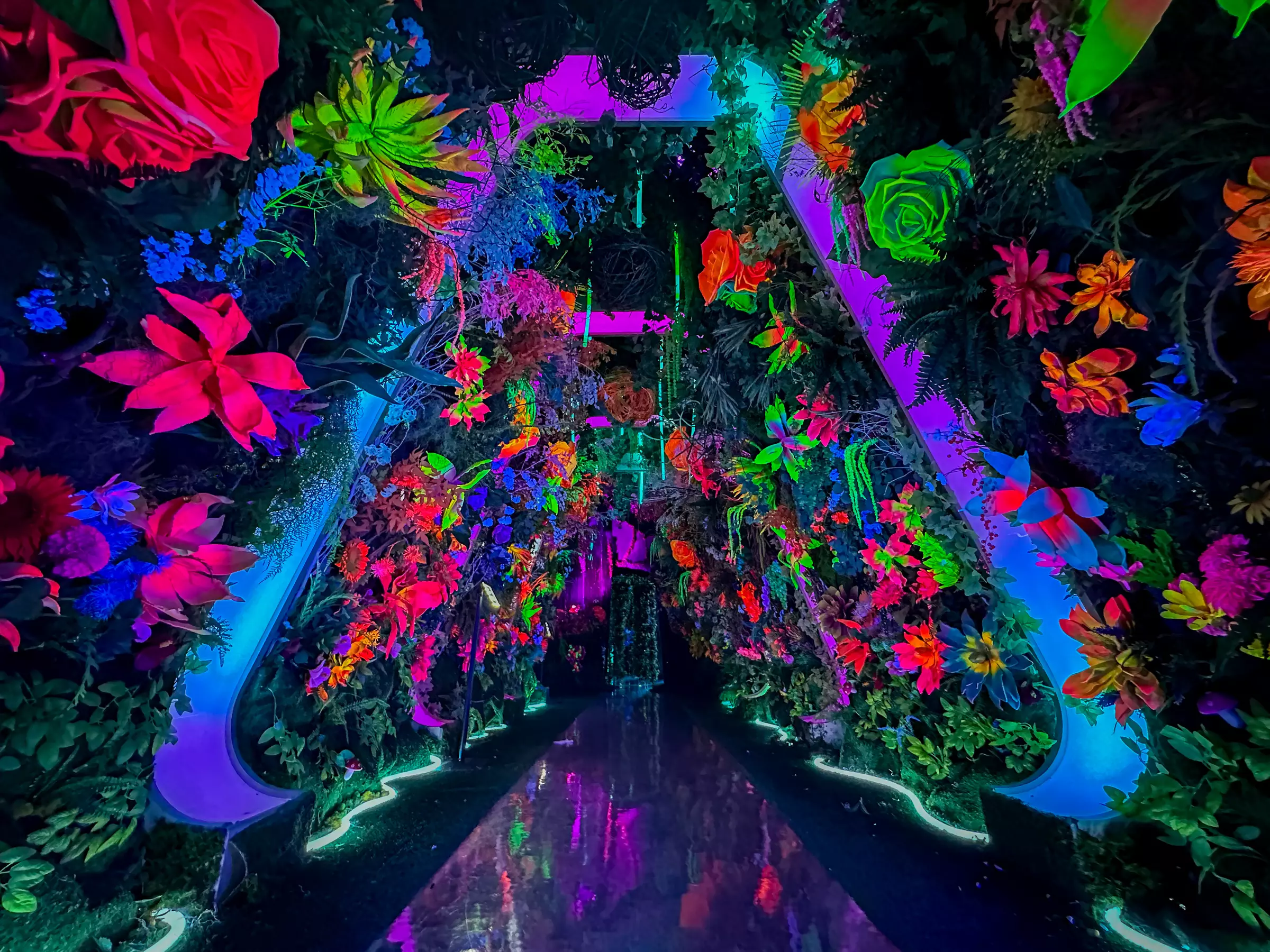 Admission for 1,2 or 4 to an Immersive Art Experience at INTER