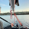 Image 5: 3-Hour Intro to Sailing for 1 or 2 | Small Group Up to 4 or Private