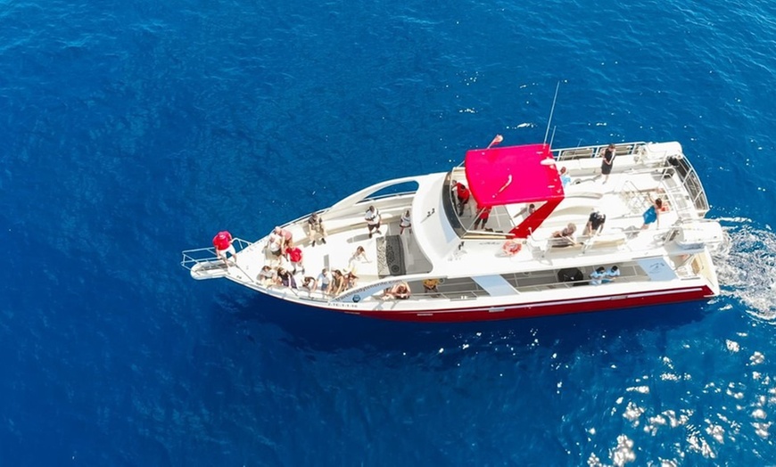 Image 5: Paseo en barco para avistamiento de cetáceos