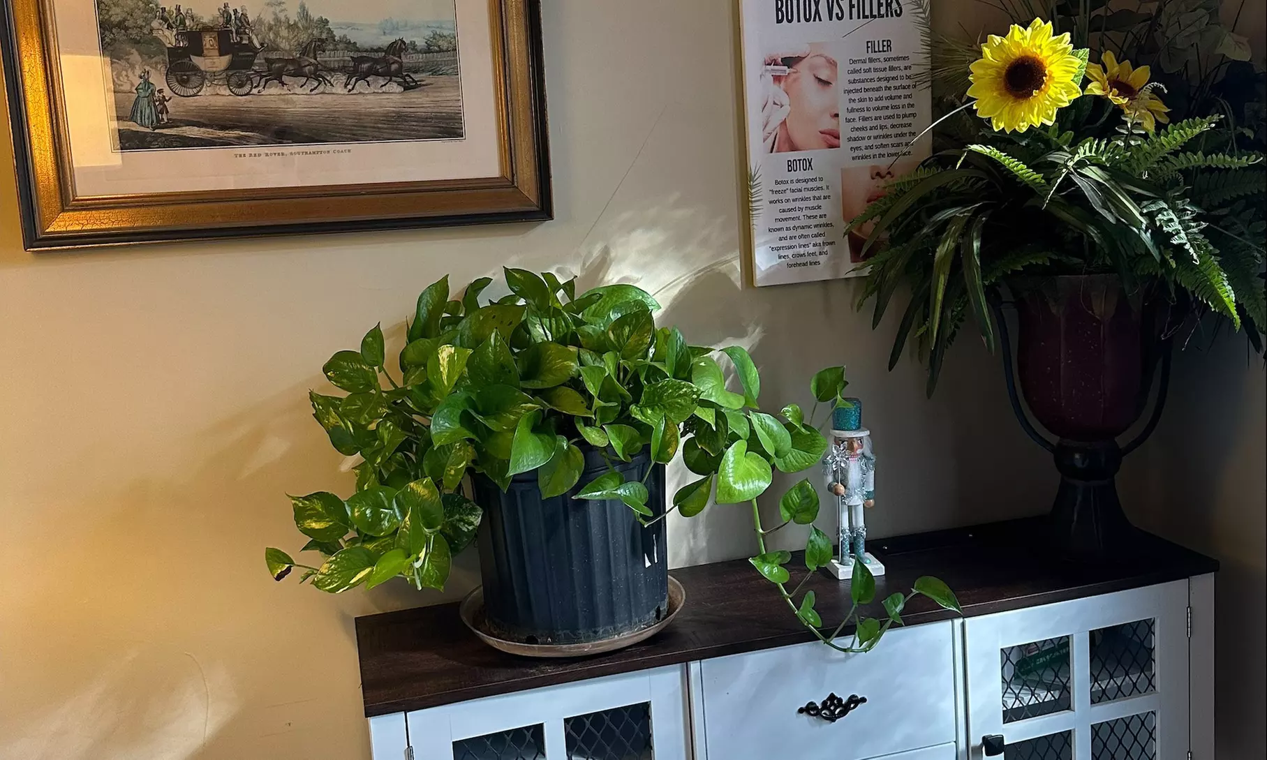 Hybrid / Volume Lash Extensions with Optional 2-Week Refill