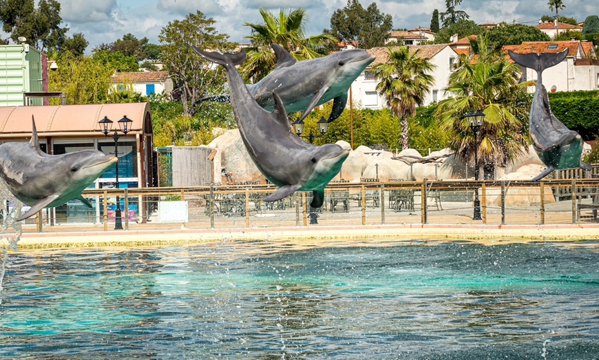 Image 5: Entrée au parc Marineland