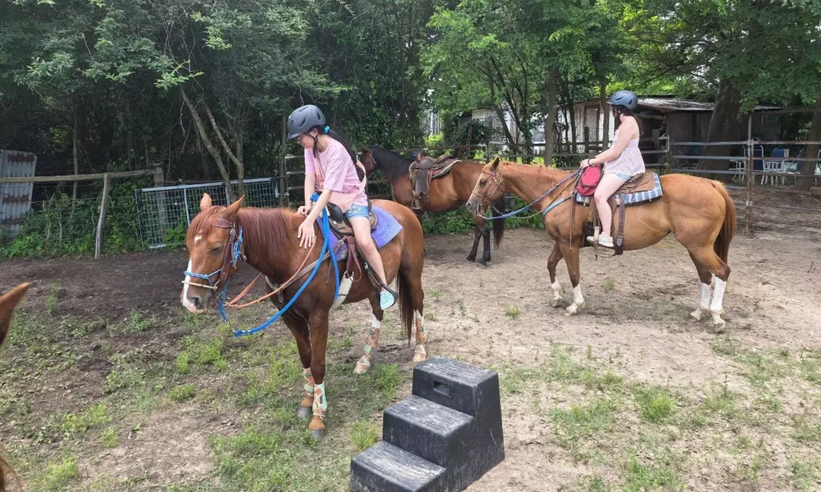 Up to 20% Off on Horse Back Riding at Zabcik Ranch LLC