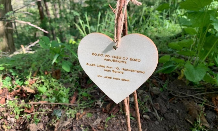 Image 2: Baum mit Widmung pflanzen opt. am Jahres- bzw. Wunschtag