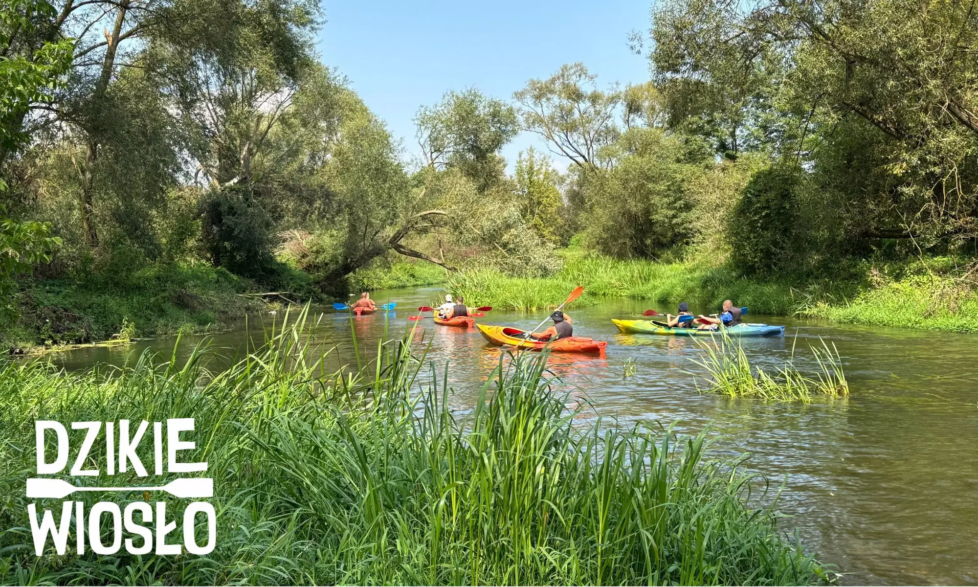 Spływ kajakowy rzeką Nidą: 3 trasy do wyboru, ognisko po spływie