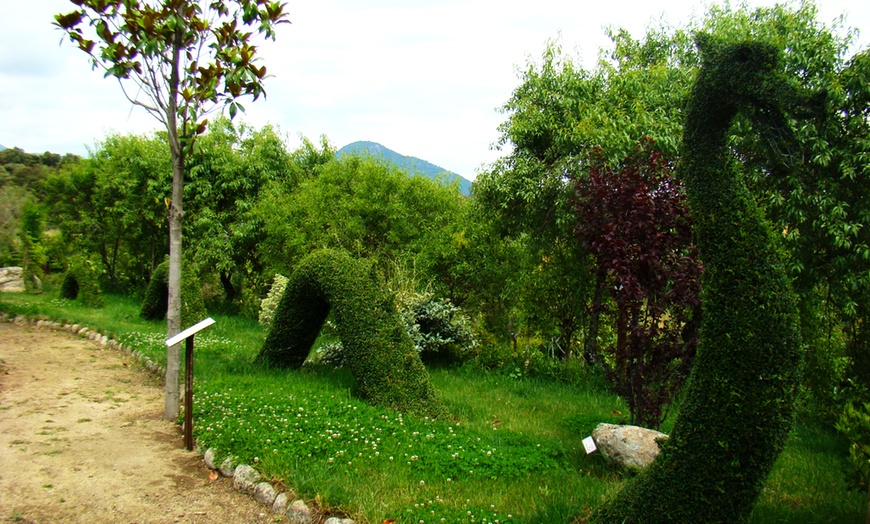 Image 7: Entrada para adulto, niño o packs familiares para El Bosque Encantado