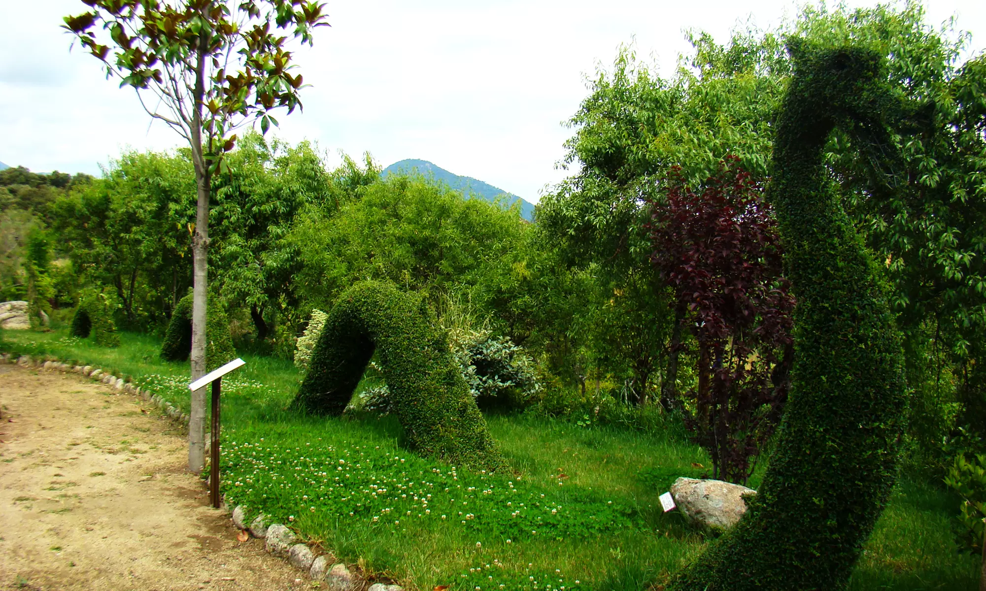 Entrada para adulto, niño o packs familiares para El Bosque Encantado