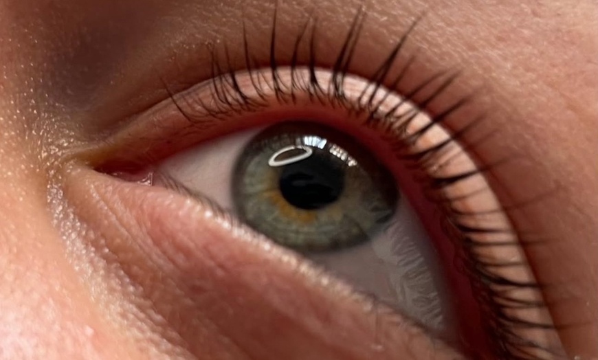 Image 2: Enmarca tu mirada con servicios especiales para pestañas y cejas