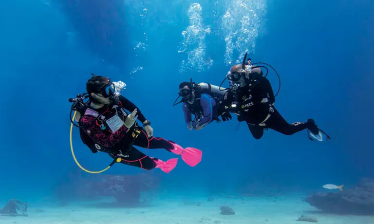 Intro- of opfrisduik met PADI Elite-instructeurs bij Divearound