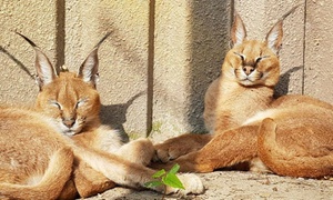 Entree Dierenpark de Oliemeulen