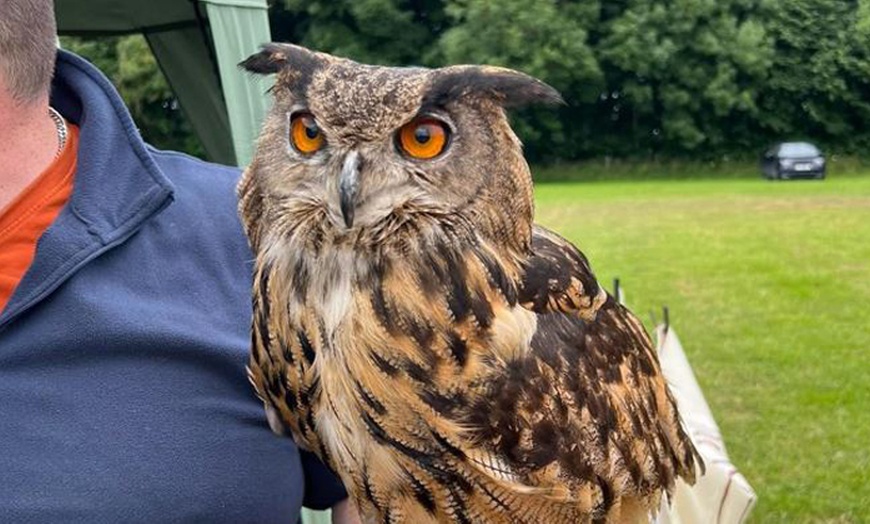 Image 7: Durham County Show 2025 at Thornley Hall Farm | July 5 and 6, 2025