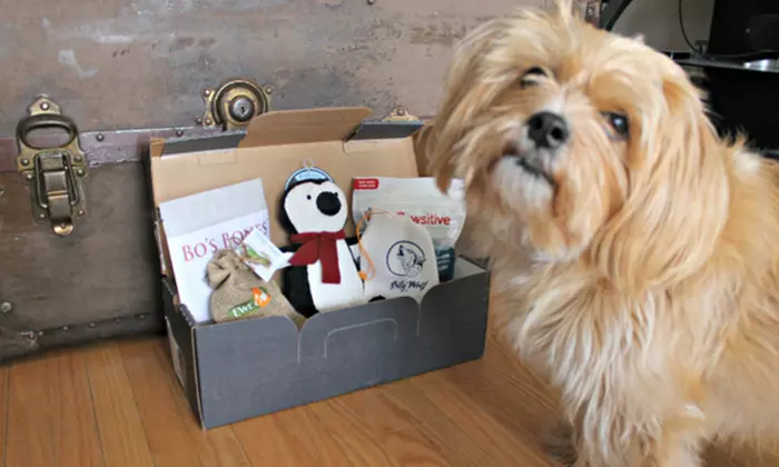 One-, Three-, or Six-Month Subscription Box for Dogs from PupJoy (Up to 23% Off) - Primary Image
