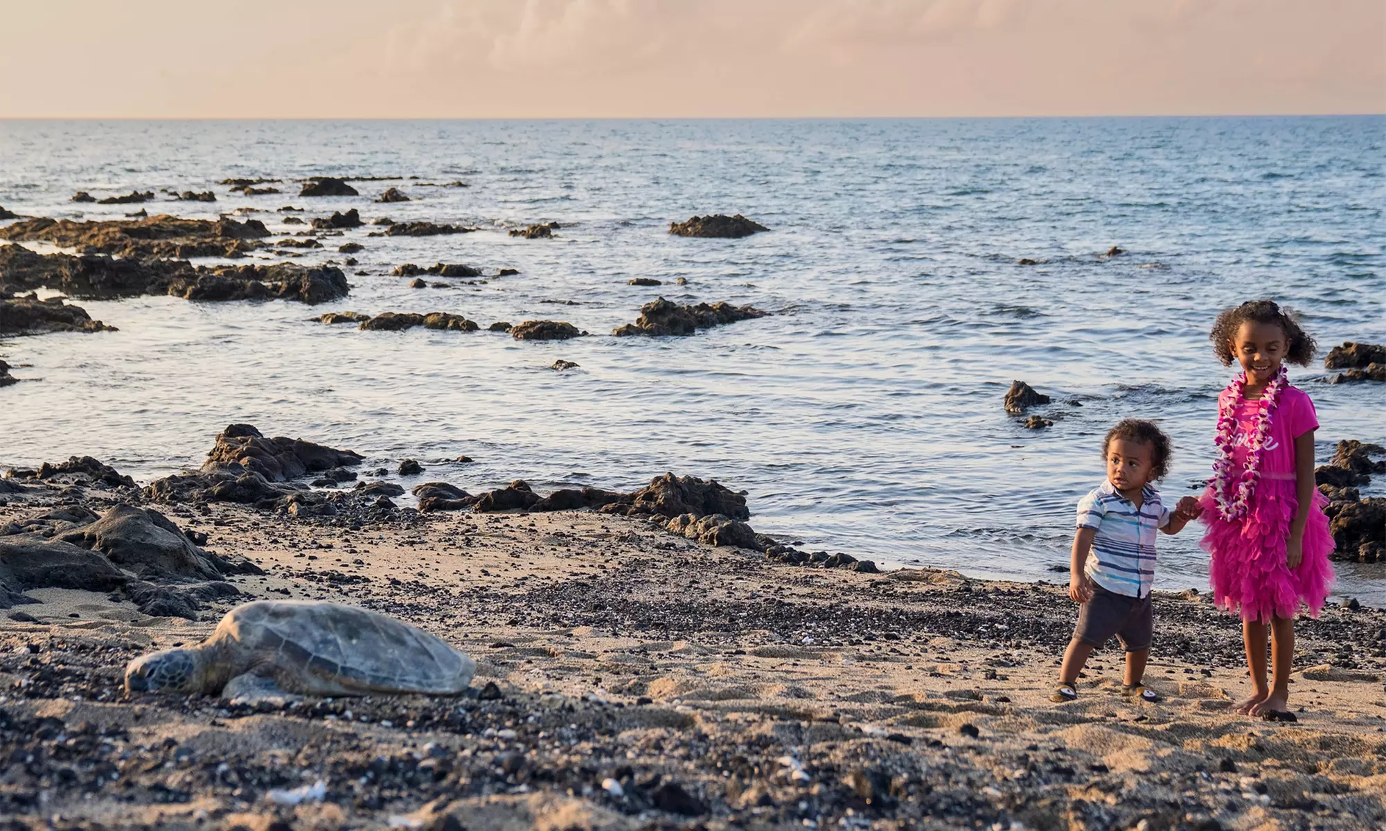 Big Island Mini & Signature Adventure Photoshoot Sessions