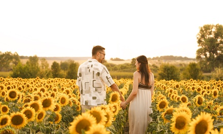 Sunflower 30-Minute Mini Photography Session Credit by ZandraVisuals - Zandra Visuals