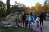 Admission to the Annual Dinos in the Dark Halloween Event; For All Ages w/ Trick-or-Treating or Haunted Trail