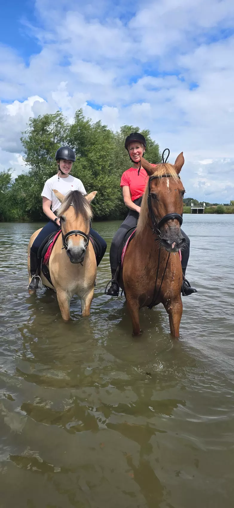 Avontuurlijk paardrijden met bosrit of waterrit incl. begeleiding