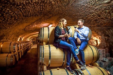 Pour 2 personnes : visite du domaine avec dégustation 7 vins, charcuteries et fromages - Les Vignobles de Rombeau