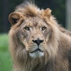 Image 1: Up to 26% Off All-Day Admission to Zoo Knoxville